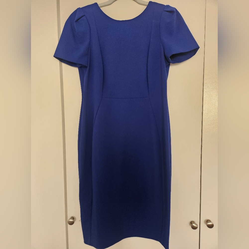 Calvin Klein Blue Puff Sleeve Sheath Dress